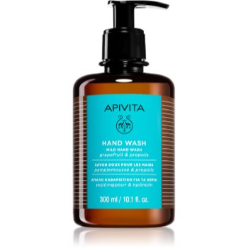 Apivita Hand Care Mild Hand Wash sapun lichid delicat pentru maini - imagine 2